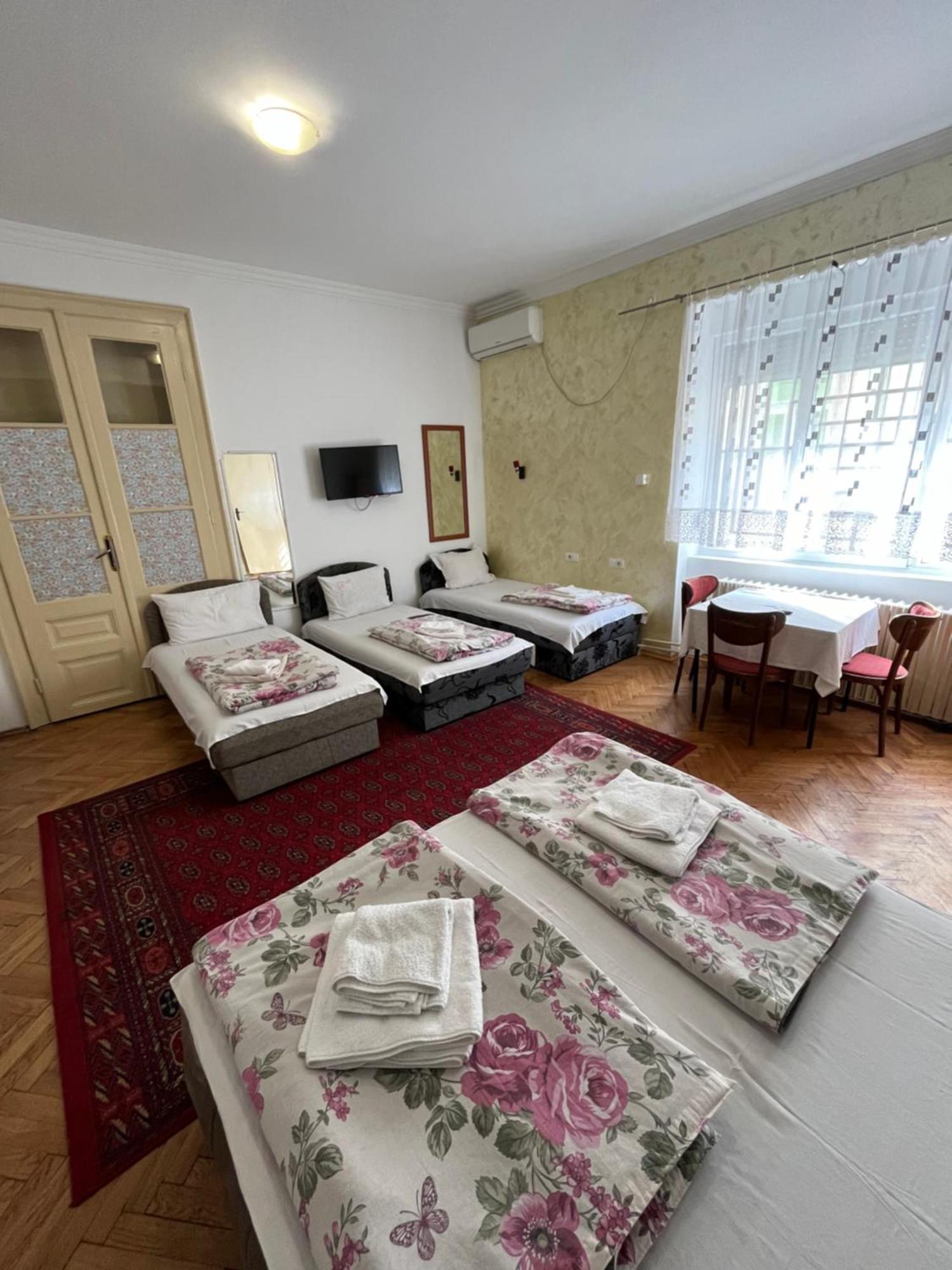 Sobe Sa Sopstvenim Kupatilom Private Rooms Bathroom In Center Novi Sad Exteriör bild